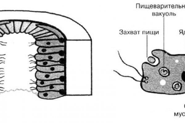 Кракен сайт 17at