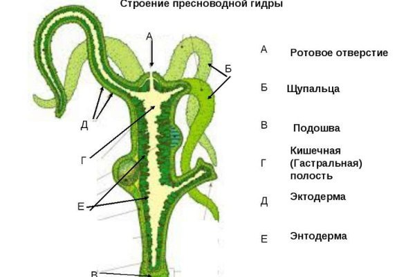 Кракен это даркнет